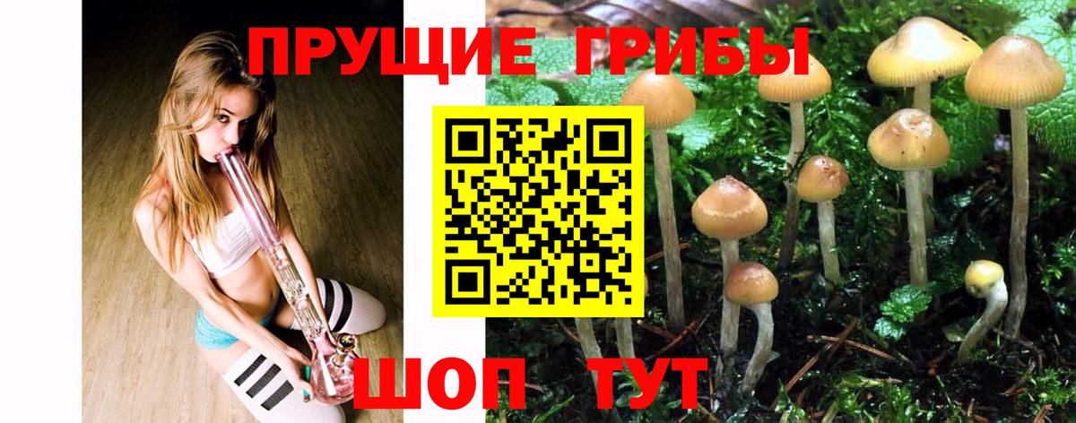 Галлюциногенные грибы Cubensis  Вход с VPN  что такое   Дивногорск 
